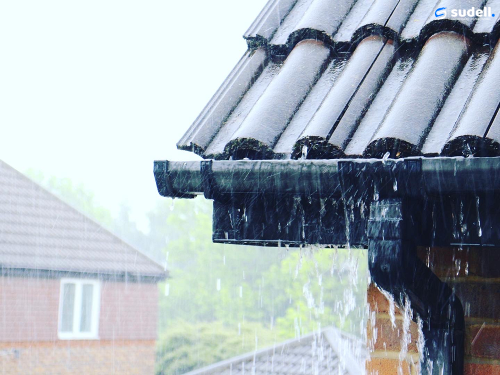 73AAA0C3 4DE0 4272 A705 D1D19CD33681 1 1